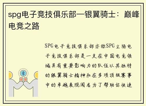 spg电子竞技俱乐部—银翼骑士：巅峰电竞之路