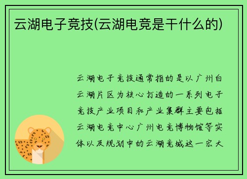 云湖电子竞技(云湖电竞是干什么的)